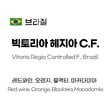 Vitoria Regia Catuai Controlled Fermented, Brazil 250g